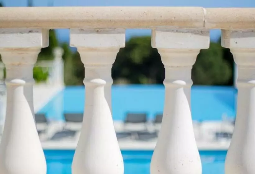 Fotos del hotel Le Mas Bellevue:  2