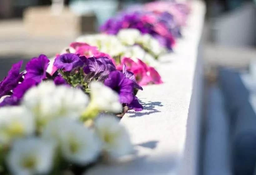 Fotos del hotel Le Mas Bellevue:  4