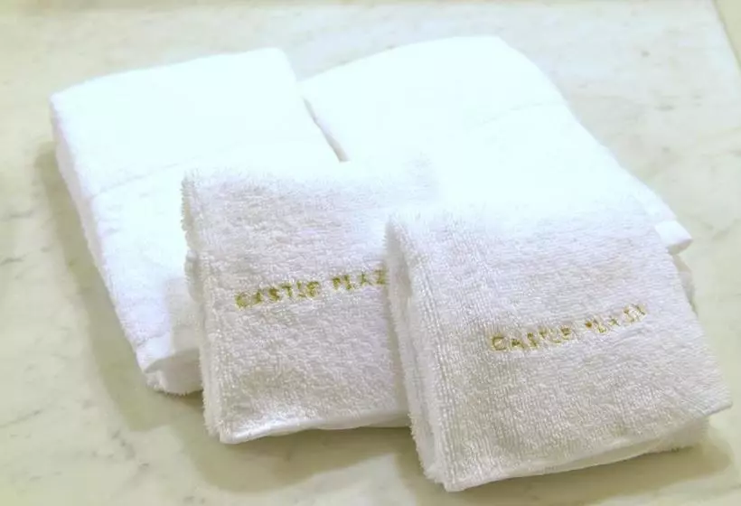 Fotos del hotel Castle Plaza:  9