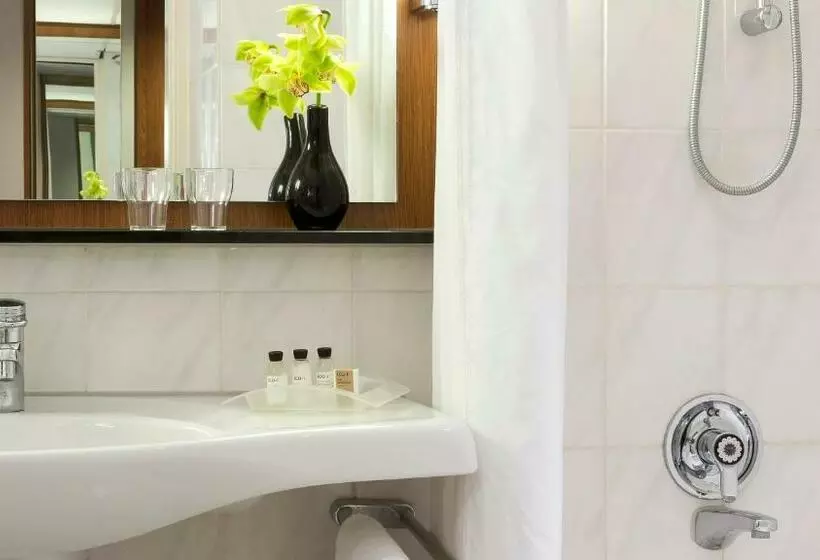 Fotos del hotel Holiday Inn Amsterdam, An Ihg:  13