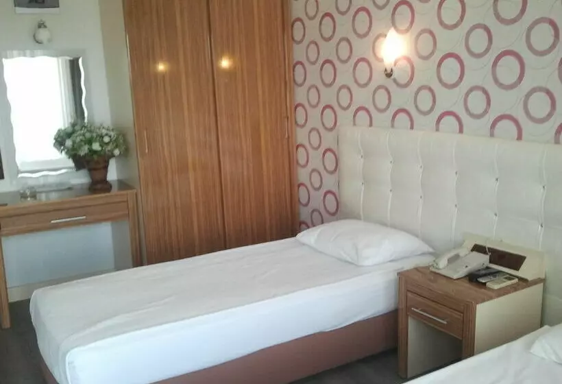 Fotos del hotel Kocaman Hotel:  14