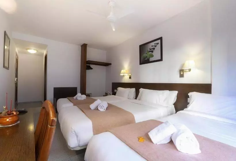 Fotos del hotel Silken Insitu Eurotel Andorra:  5