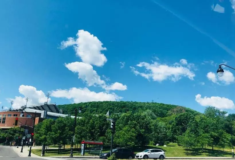 Fotos del hotel Hôtel Park Avenue:  6