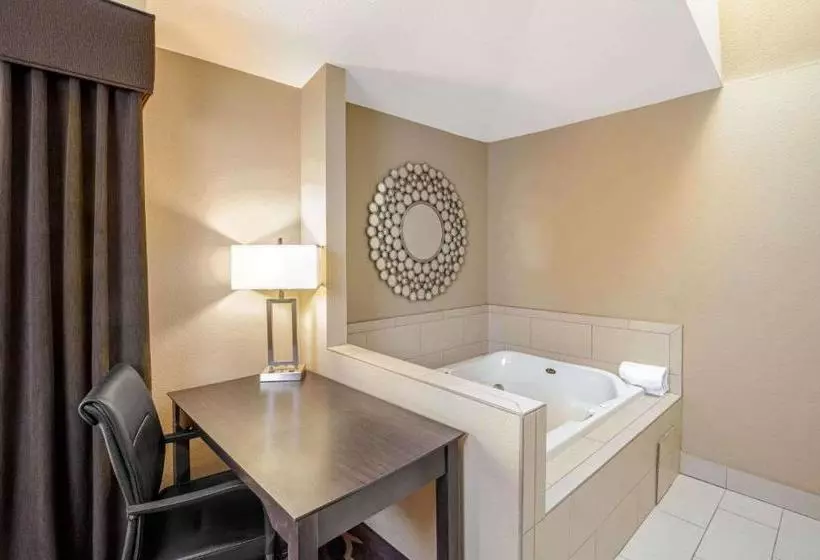 Fotos del hotel La Quinta Inn &amp; Suites By Wyndham Lv Tropicana Stadium:  5