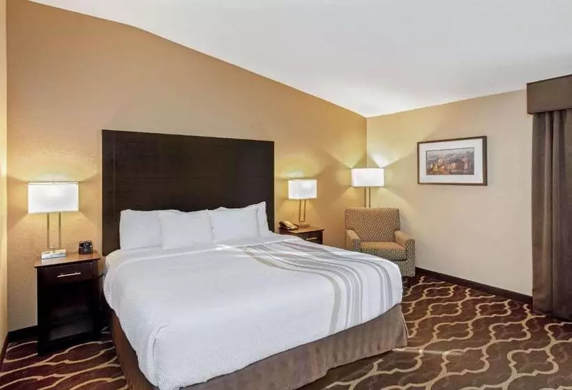 Fotos del hotel La Quinta Inn &amp; Suites By Wyndham Lv Tropicana Stadium:  2