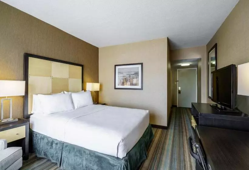 Fotos del hotel The Watson Hotel:  12