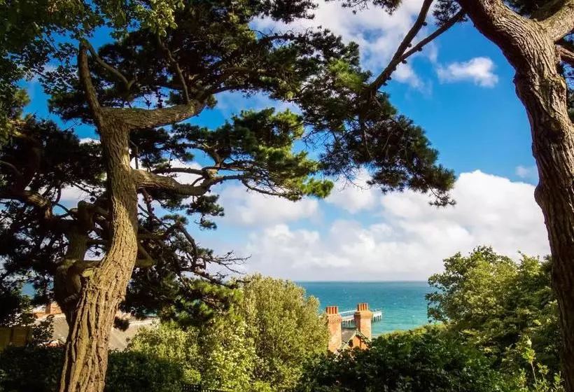 Fotos del hotel Chine:  12