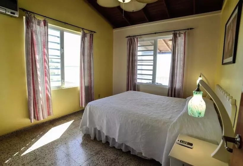 Fotos del hotel Lemontree Oceanfront Cottages:  13