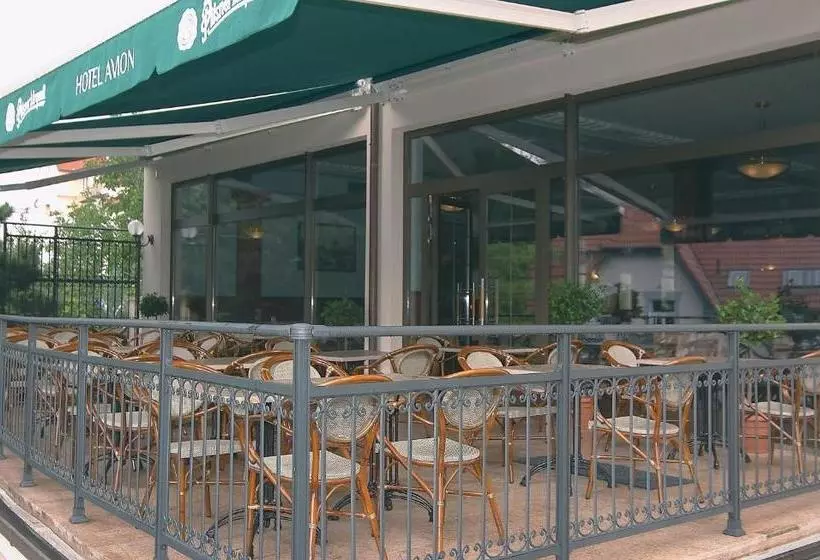 Fotos del hotel Avion:  6