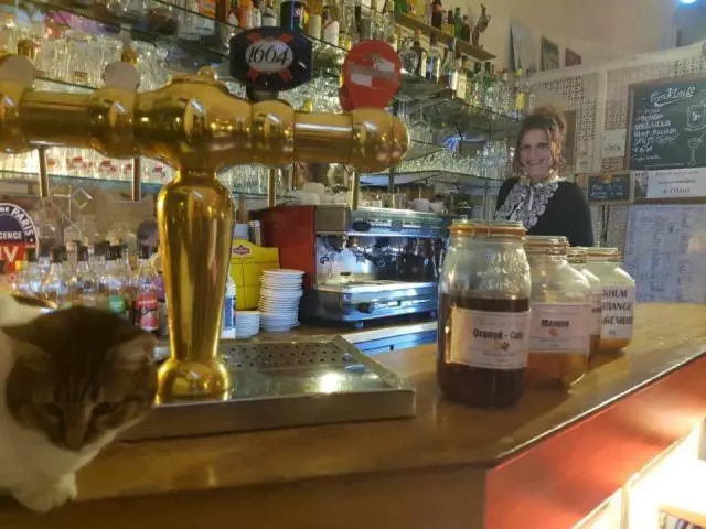 Fotos del hotel Hôtel Les Chansonniers:  13