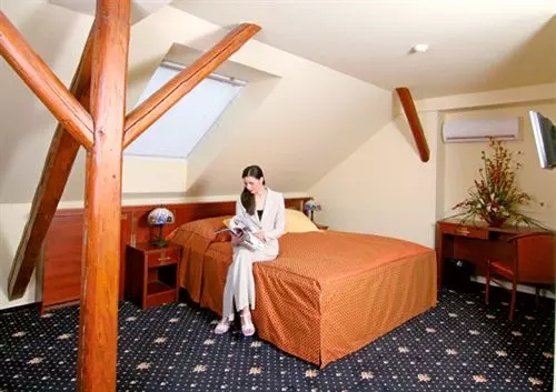 Fotos del hotel Aramis:  14