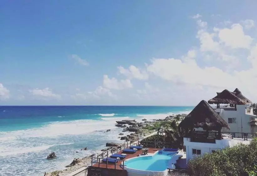 Fotos del hotel Casa Ixchel:  4