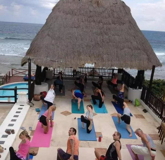 Fotos del hotel Casa Ixchel:  9