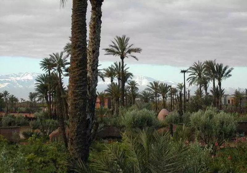 Fotos del hotel Kasbah Tiwaline:  6