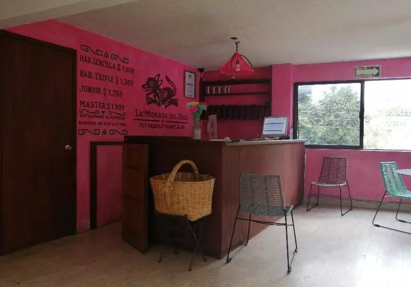 Fotos del hotel La Morada Del Xolo By Oyo Rooms:  4