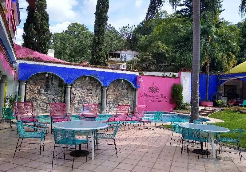 Fotos del hotel La Morada Del Xolo By Oyo Rooms:  14