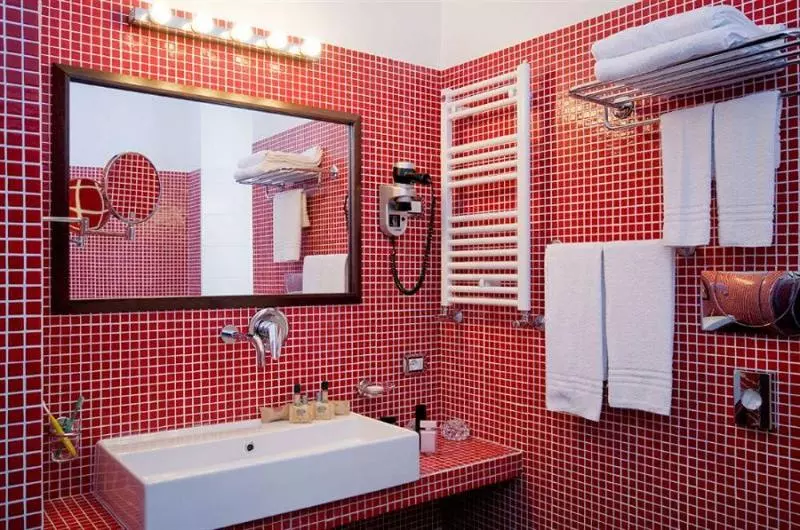 Fotos del hotel Ecohotel Roma:  4