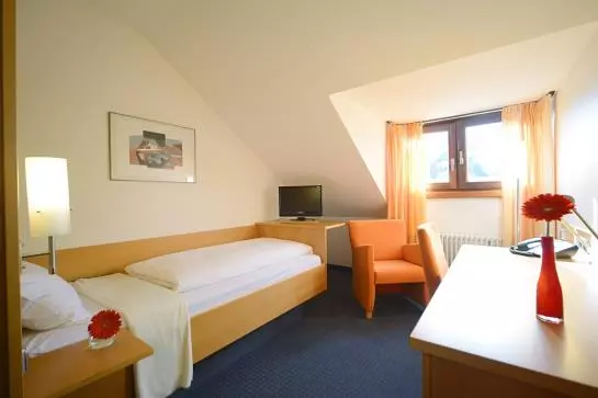 Fotos del hotel Hotel Geno:  8