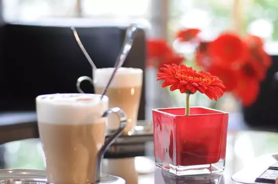 Fotos del hotel Hotel Geno:  15