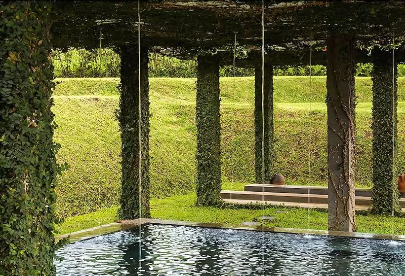 Fotos del hotel Tea Garden Resort:  10