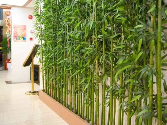 Fotos del hotel Amersino Hotel:  14