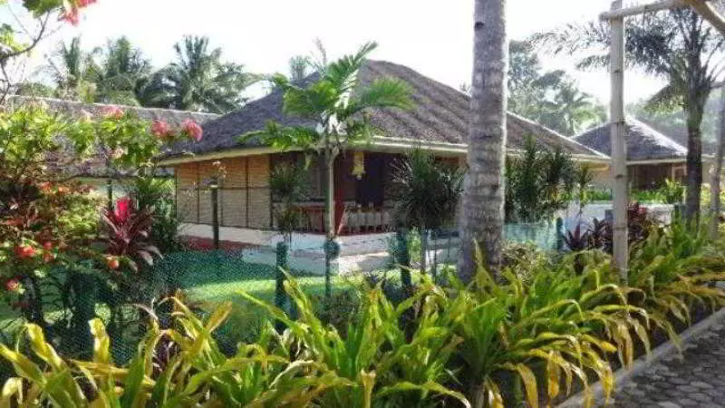 Fotos del hotel Paradise Island Park And Beach Resort:  8