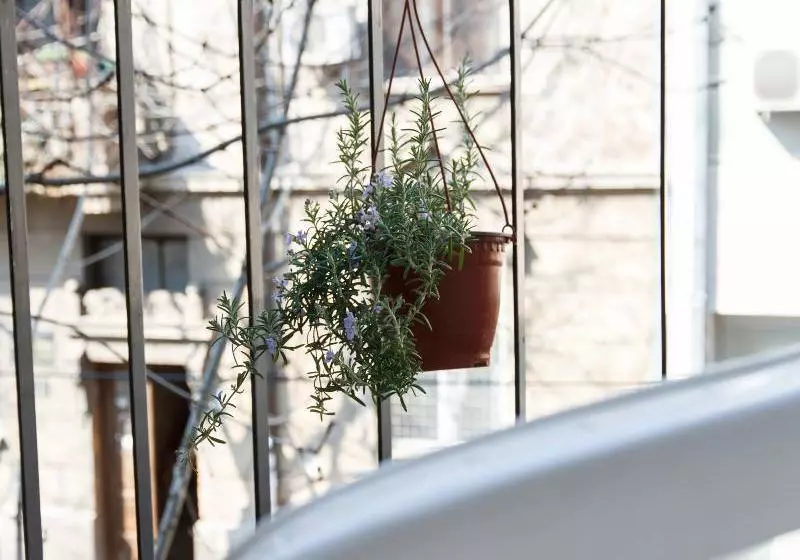 Fotos del hotel Studio Skadarlija 3:  9