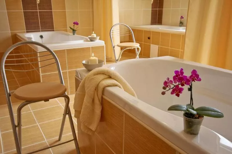 Fotos del hotel Vis Vitalis Medical Wellness:  7