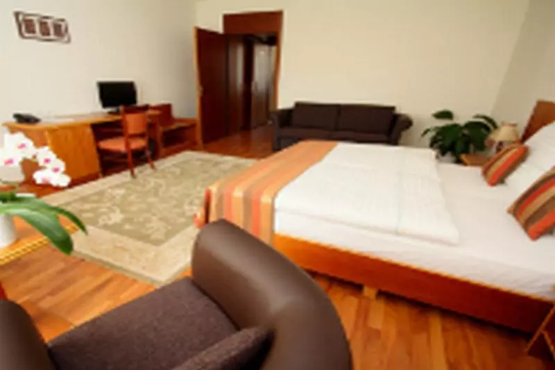 Fotos del hotel Vis Vitalis Medical Wellness:  9