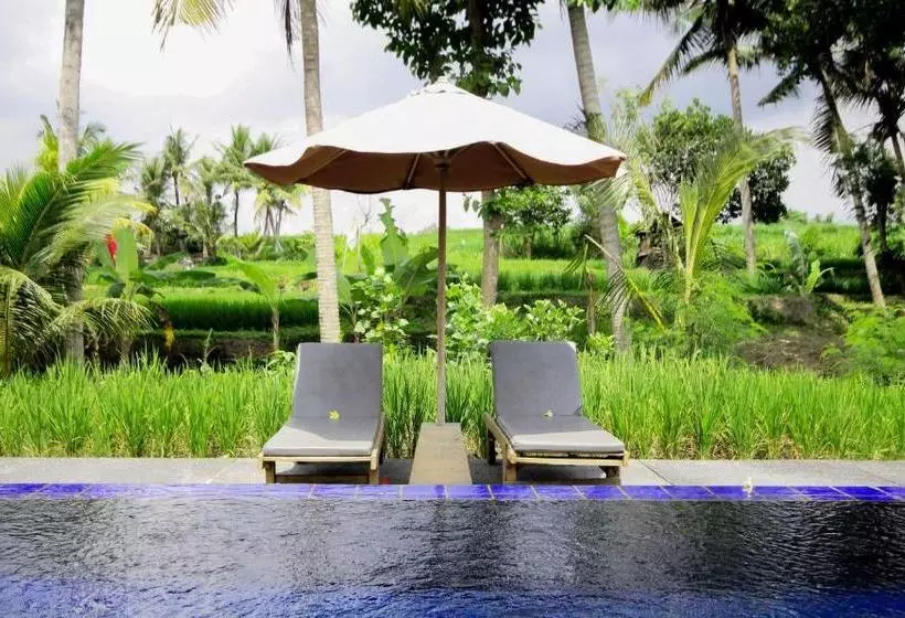 Fotos del hotel Sapulidi Resort Spa & Gallery Bali:  8