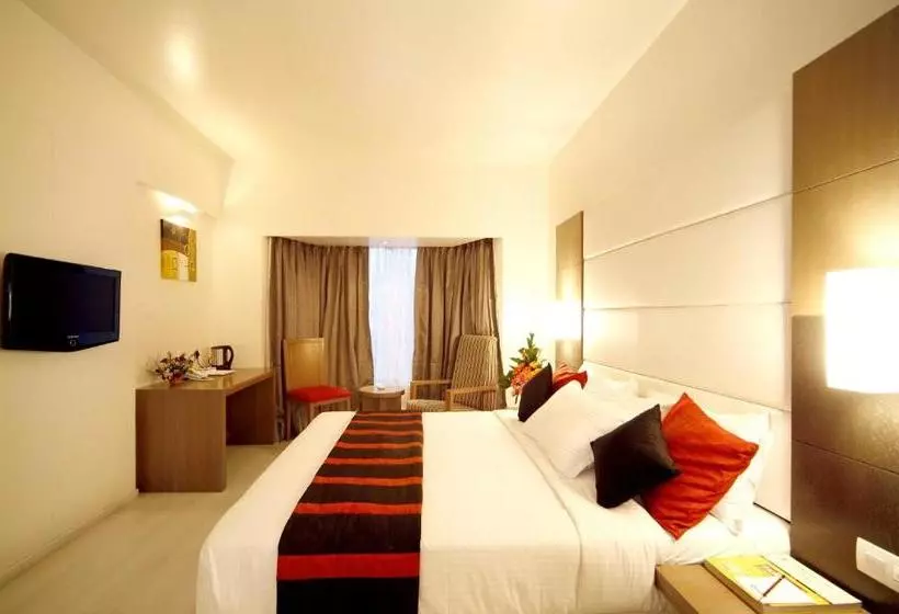 Fotos del hotel Orbett:  12