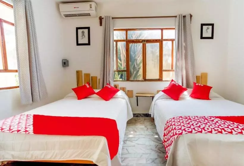 Fotos del hotel Miami Acapulco:  14