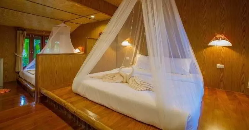 Fotos del hotel The Cliff & River Jungle:  5