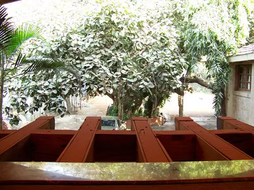 Fotos del hotel Beach Garden:  6