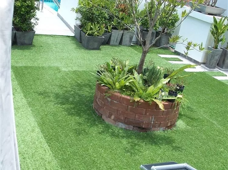 Fotos del hotel Capannina Inn:  10