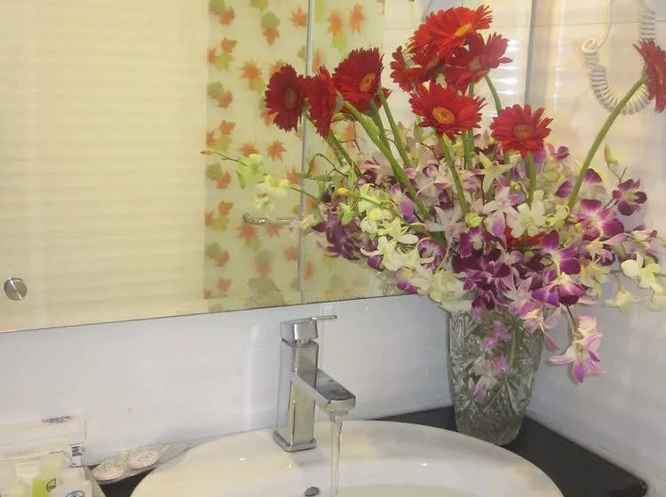 Fotos del hotel Thanh Truong:  20