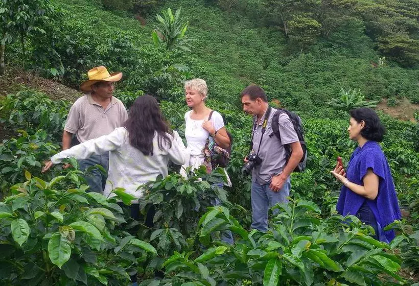 Fotos del hotel Y Restaurante Eco Chibulbut:  8