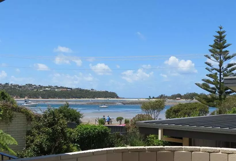 Fotos del hotel Penguin Mews:  12