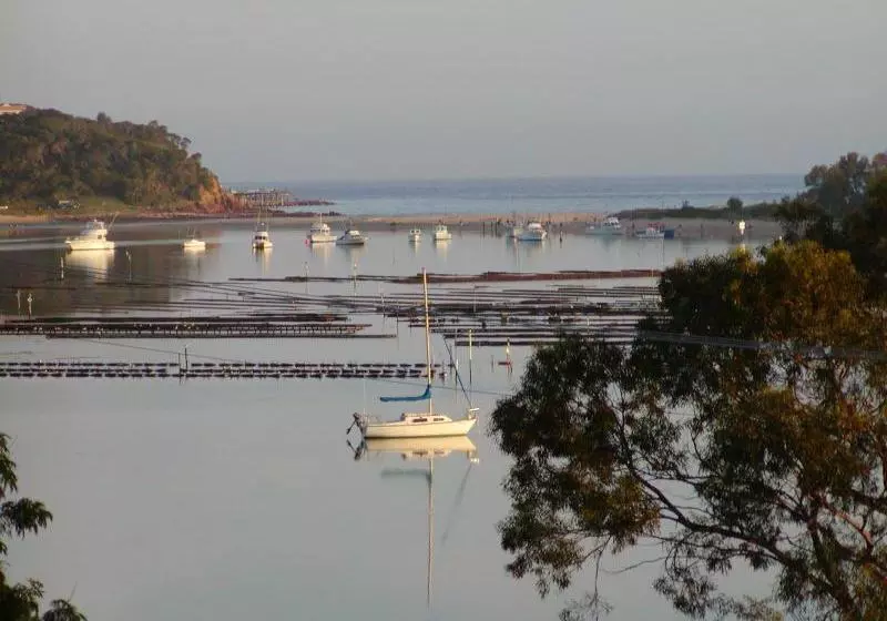 Fotos del hotel Penguin Mews:  20