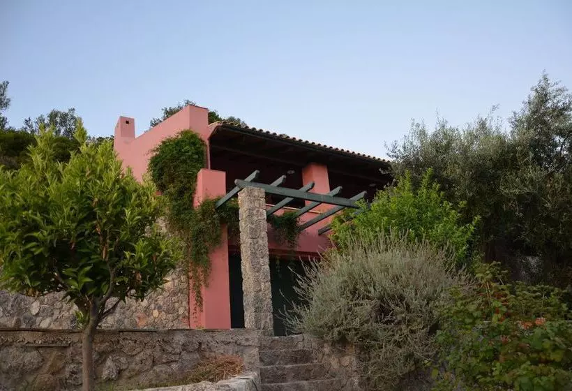 Fotos del hotel Solstice Luxury Suites:  19