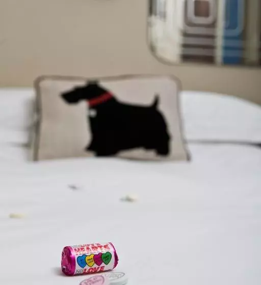 Fotos del hotel Guest And The City:  7