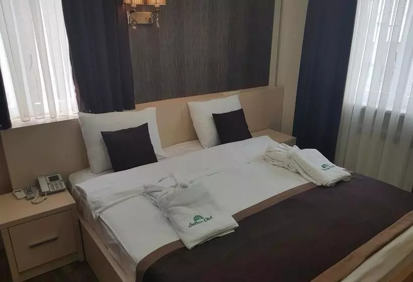 Fotos del hotel Sultan:  7