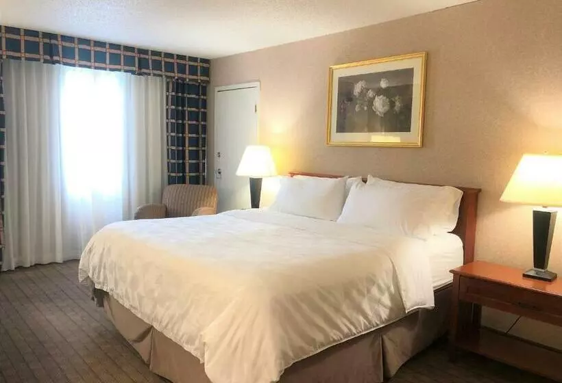 Fotos del hotel Holiday Inn Calgary  Macleod Trail South, An Ihg:  18