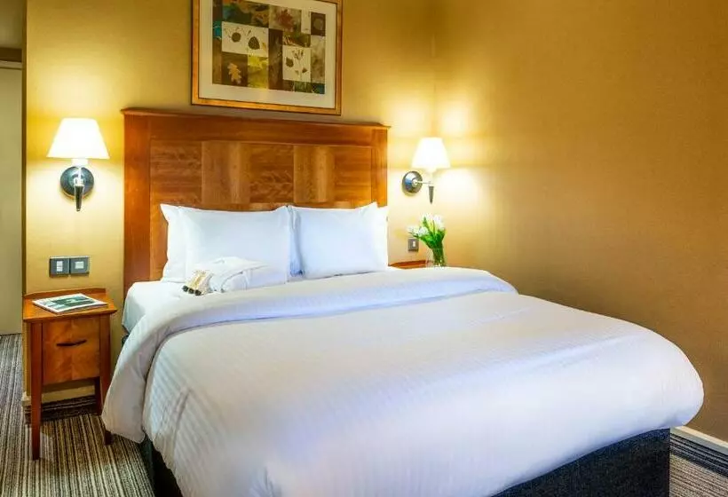 Fotos del hotel Copthorne Hotel Birmingham:  8