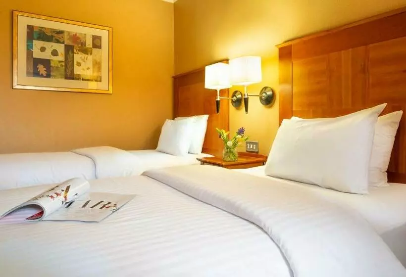 Fotos del hotel Copthorne Hotel Birmingham:  9