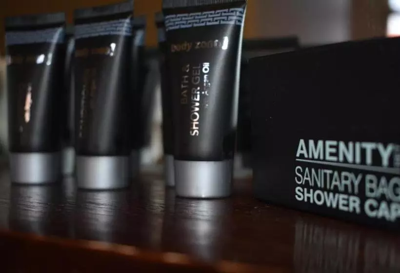 Fotos del hotel Ansonia On Lydiard:  12