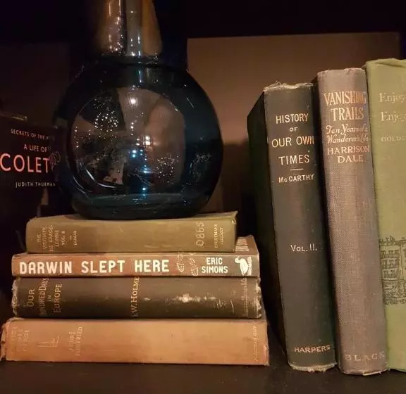 Fotos del hotel The Fox Club London:  4