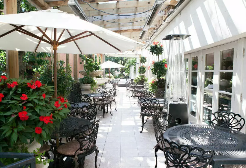 Fotos del hotel Grand Hotel & Suites:  6