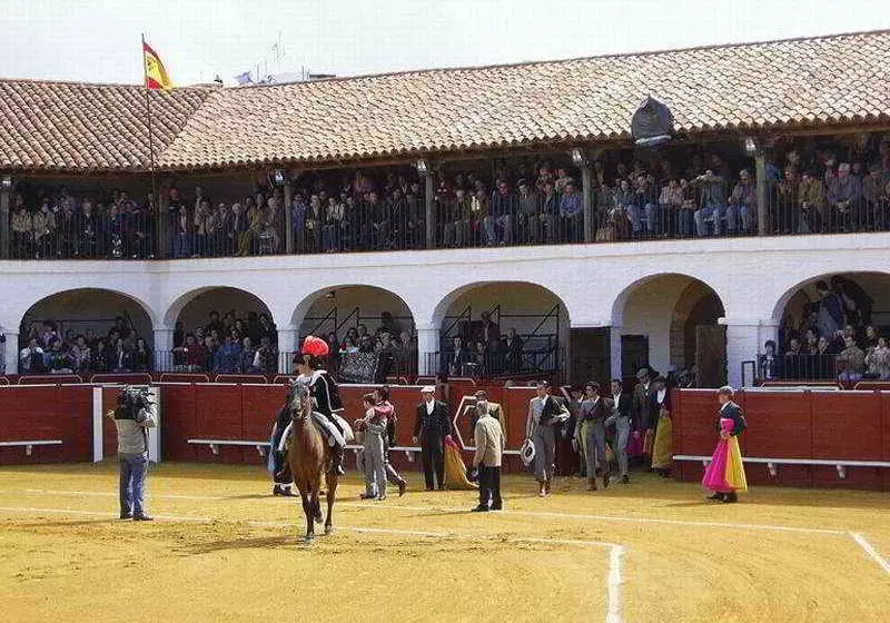 Fotos del hotel Hotel Plaza de Toros:  8
