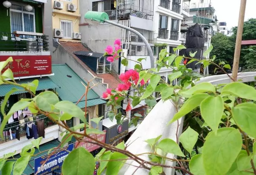 Fotos del hotel Hanoi Amanda:  6